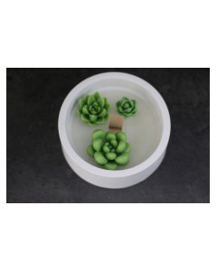 CevDen Tabakta Kaktüs Mum