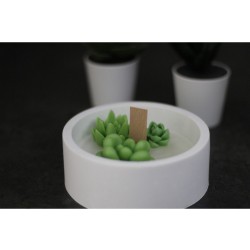 CevDen Tabakta Kaktüs Mum