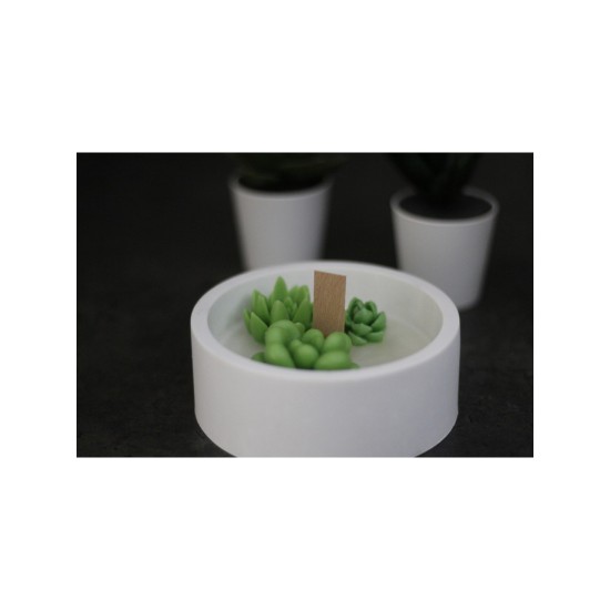 CevDen Tabakta Kaktüs Mum